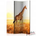 ArtGeist sp. z o o. Paraván - giraffe - walk [Room Dividers]