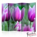 Paraván - Purple spring tulips [Room Dividers]