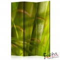 ArtGeist sp. z o o. Paraván - bamboo - nature zen [Room Dividers]