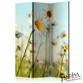 ArtGeist sp. z o o. Paraván - Daisies - spring meadow [Room Dividers]