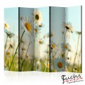 Paraván - Daisies - spring meadow [Room Dividers]