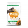 Iams Cat Adult Lamb 10kg