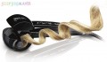 Babyliss PRO Mira Curl- a tökéletes hajgöndörítő BP2665E