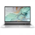 HP ProBook 450 G8 2W1F3EA Silver W10 Pro