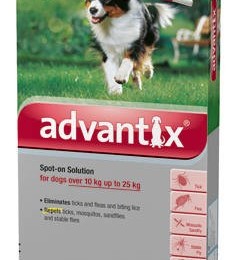 Advantix Spot On 10-25kg között 4x2,5ml