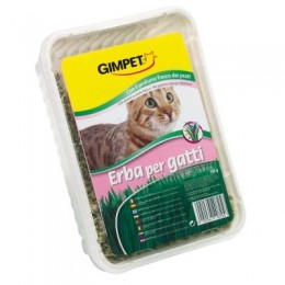 Gimborn Gimpet macskafű dobozos 150 g