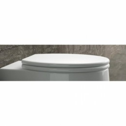 Arezzo design California Soft Close lecsapódásgátlós wc tető AR-CSC HDA227