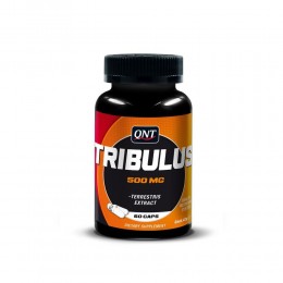 QNT QNT Tribulus Terrestris 1000 mg 60 kapszula