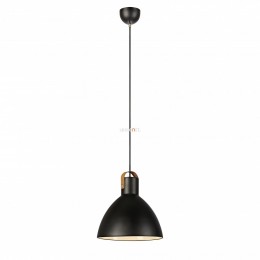 Markslöjd 106550 Eagle 1xE27 függesztett lámpa