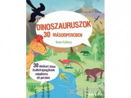 Tessloff és Babilon Sean Callery - Dinoszauruszok 30 másodpercben