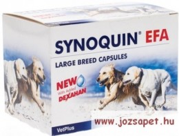 Synoquin Synoquin Large Breed Tasty 4x30db EFA tabletta