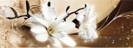 Consalnet Öntapadós fehér virág mintás bordűr, 20 cm széles