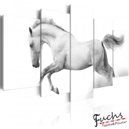 ArtGeist sp. z o o. Kép - Horse- passion and freedom