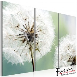 ArtGeist sp. z o o. Kép - Fluffy dandelions