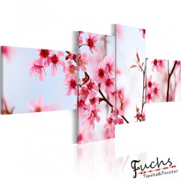 ArtGeist sp. z o o. Kép - Beauty of the cherry flowers