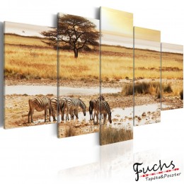 ArtGeist sp. z o o. Kép - Zebras on a savannah