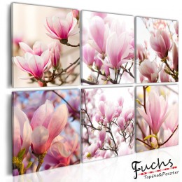 ArtGeist sp. z o o. Kép - Southern magnolias