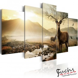 ArtGeist sp. z o o. Kép - Tundra and deer