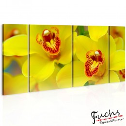 ArtGeist sp. z o o. Kép - Orchids - intensity of yellow color