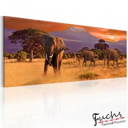 ArtGeist sp. z o o. Kép - March of african elephants