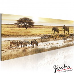 ArtGeist sp. z o o. Kép - Africa: at the waterhole