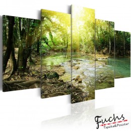 ArtGeist sp. z o o. Kép - Forest river