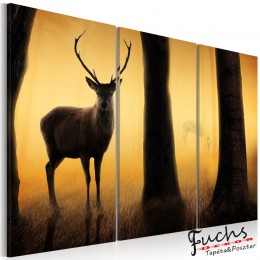 ArtGeist sp. z o o. Kép - Forest őr