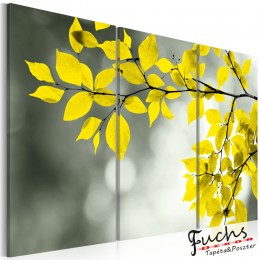 ArtGeist sp. z o o. Kép - Gold sprig