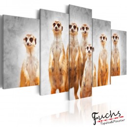 ArtGeist sp. z o o. Kép - Meerkats
