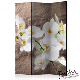 ArtGeist sp. z o o. Paraván - Impeccability of the Orchid [Room Dividers]