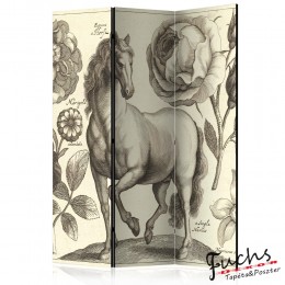 ArtGeist sp. z o o. Paraván - Horse [Room Dividers]