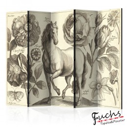 ArtGeist sp. z o o. Paraván - Horse II [Room Dividers]
