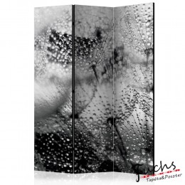 ArtGeist sp. z o o. Paraván - Kiss of the Rain [Room Dividers]