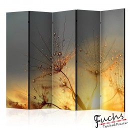 ArtGeist sp. z o o. Paraván - Summer Solstice II [Room Dividers]