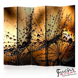 ArtGeist sp. z o o. Paraván - Dandelions in the Rain II [Room Dividers]
