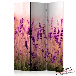 ArtGeist sp. z o o. Paraván - Lavender in the Rain [Room Dividers]