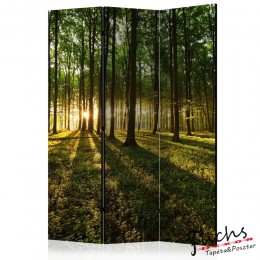 ArtGeist sp. z o o. Paraván - Morning in the Forest [Room Dividers]
