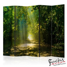 ArtGeist sp. z o o. Paraván - Road in Sunlight II [Room Dividers]