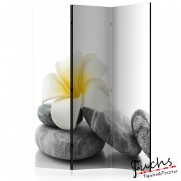 ArtGeist sp. z o o. Paraván - White Lotus [Room Dividers]