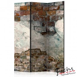 ArtGeist sp. z o o. Paraván - Tender Walls [Room Dividers]
