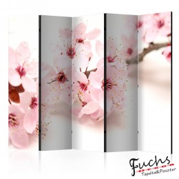 ArtGeist sp. z o o. Paraván - Cherry Blossom II [Room Dividers]