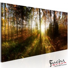 ArtGeist sp. z o o. Kép - Beautiful Forest