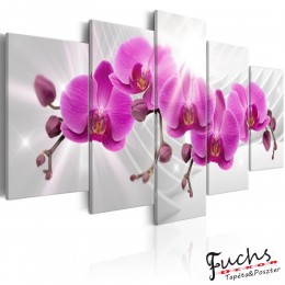 ArtGeist sp. z o o. Kép - Abstract Garden: Pink Orchids