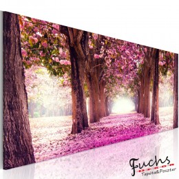 ArtGeist sp. z o o. Kép - Fuchsia Garden