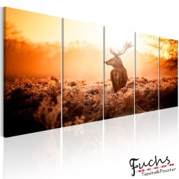 ArtGeist sp. z o o. Kép - Deer at Sunset