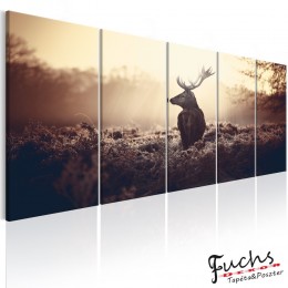 ArtGeist sp. z o o. Kép - Stag in the Wilderness