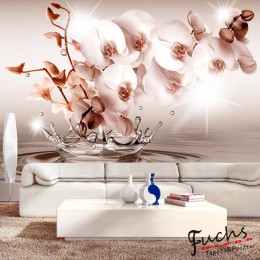ArtGeist sp. z o o. Fotótapéta - Touch of Tenderness