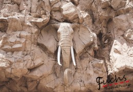 Consalnet Kő elefánt poszter, fotótapéta 10115 több méretben, alapanyagban