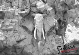 Consalnet Kő elefánt poszter, fotótapéta 10116 több méretben, alapanyagban