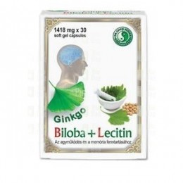 Dr.Chen Ginko Biloba + Lecitin kapszula 30db